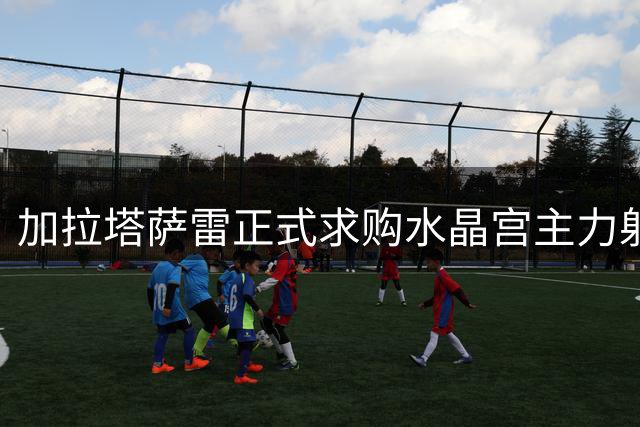 加拉塔萨雷正式求购水晶宫主力射手 曼联暂未跟进