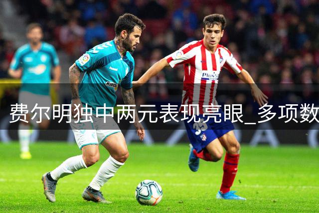 费尔明独中两元表现亮眼 多项数据彰显全能表现